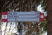 77 In direzione Pizzo Cerro prendo a dx la variante dei 4 roccoli...